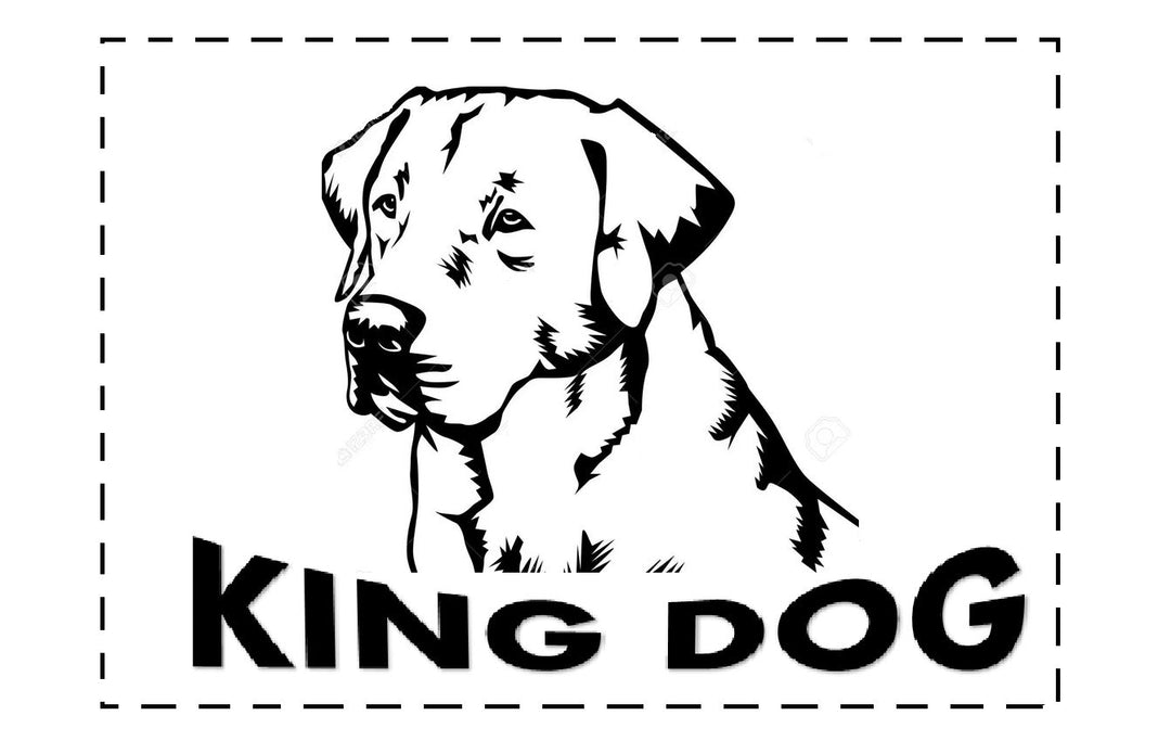 Hundeseng, katte seng 55 x 45 Blå Kingdog størrelse S