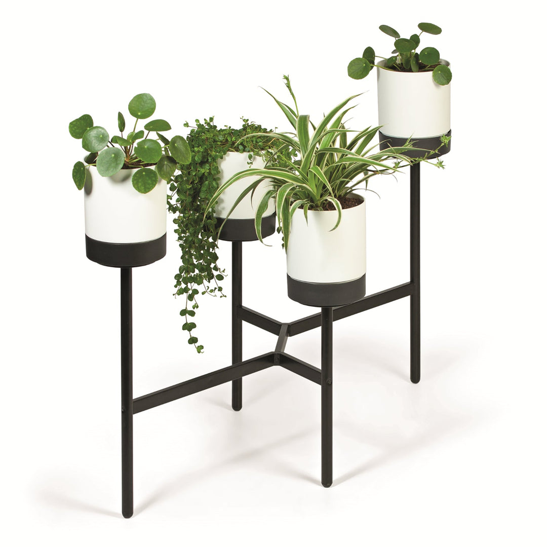 Prosperplast Bloomie Stand IKD4L-S449 blomsterstand med fire ben og metalramme – potter i hvid farve