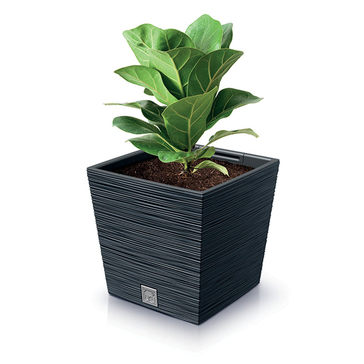 Blomsterpotte med indsats Prosperplast Furu Square Low DFS240-S433 - farve antracit