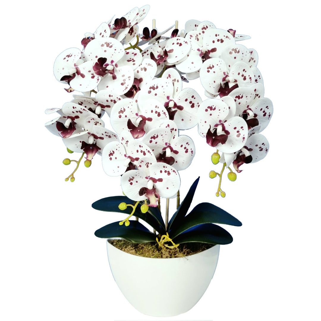 Kunstig hvid orkidé med biskopskugler Blomster Orchidea som levende 3pgk