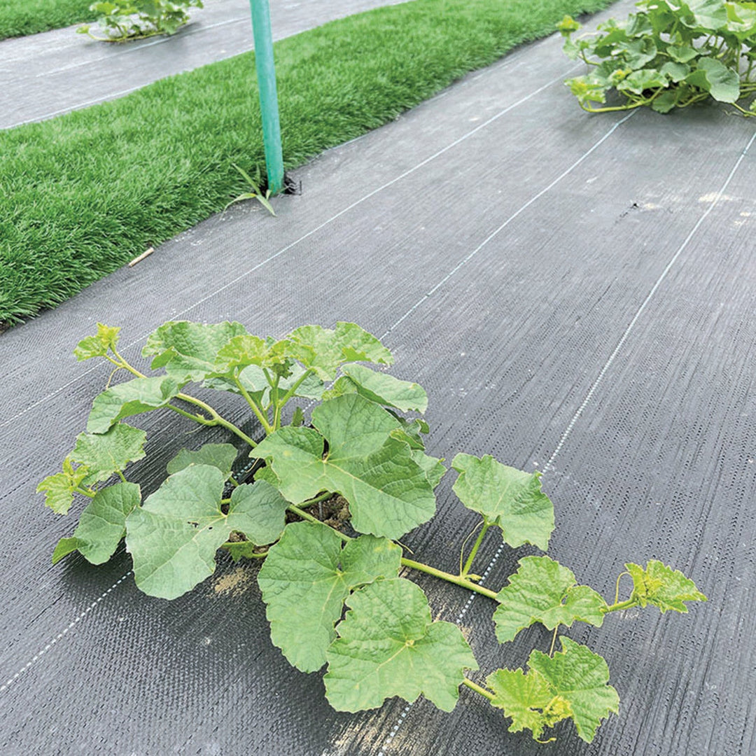 Greenmill agrotkanina, ukrudtsbekæmpende, 100 g, 1 x 5 m, sort, GR1016